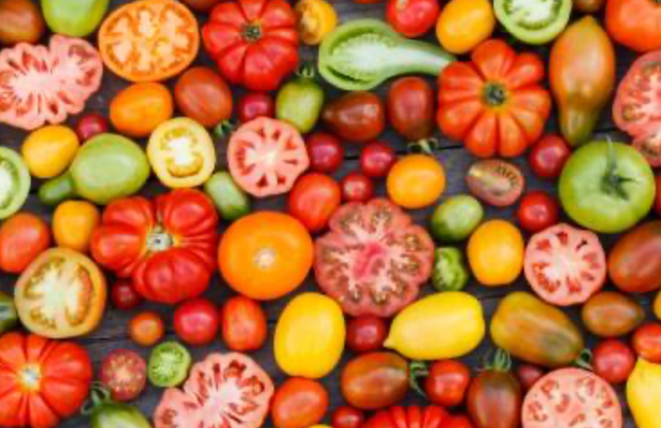Tomates (Toutes variétés)