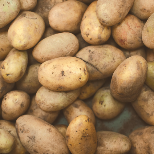 Pommes de terre nouvelle