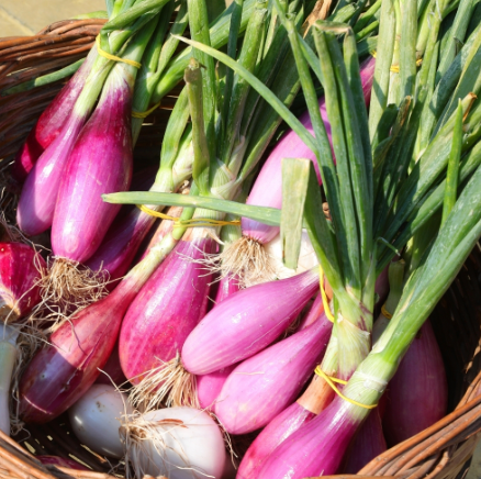 Bouquet de Simiane