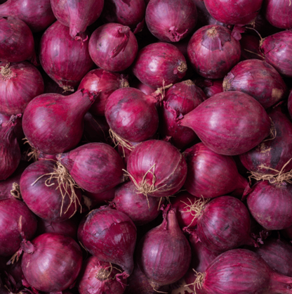 Oignons