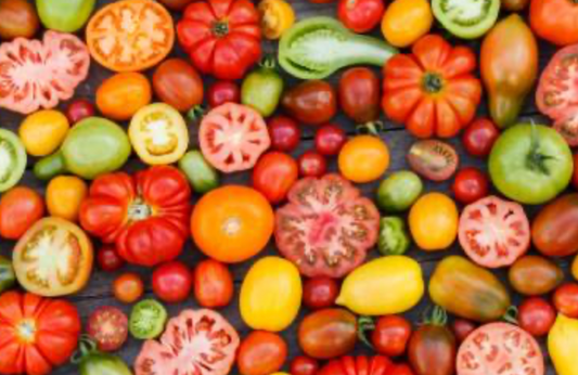 Tomates (Toutes variétés)