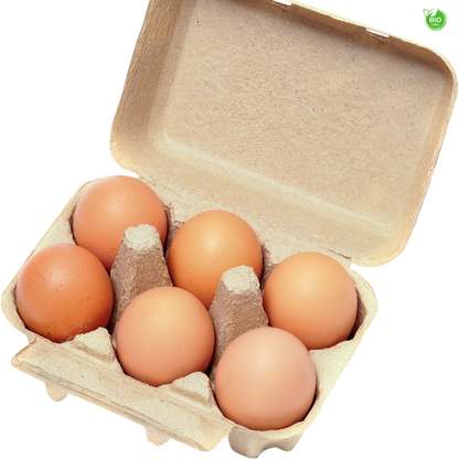 Boite de 6 Œufs de poule élevée en plein Air