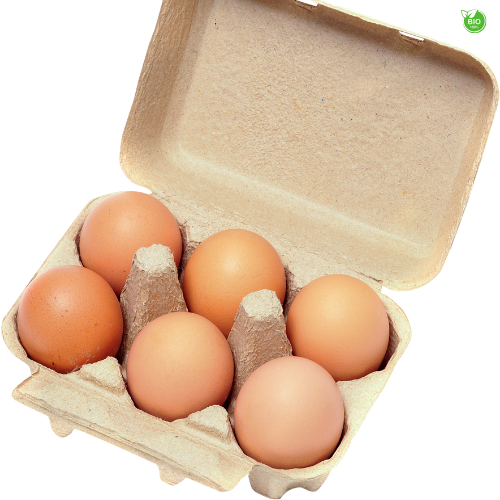 Boite de 6 Œufs de poule élevée en plein Air