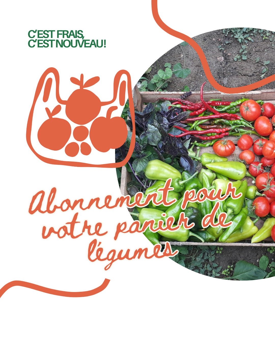 Abonnement Paniers