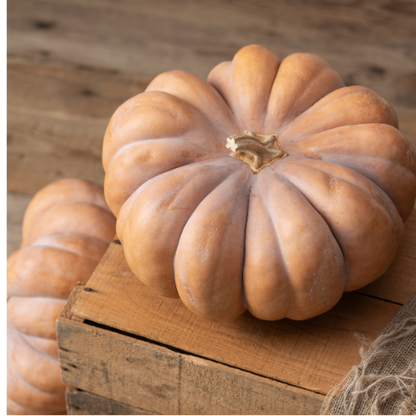 Courge muscade