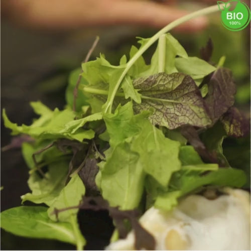 Mesclun